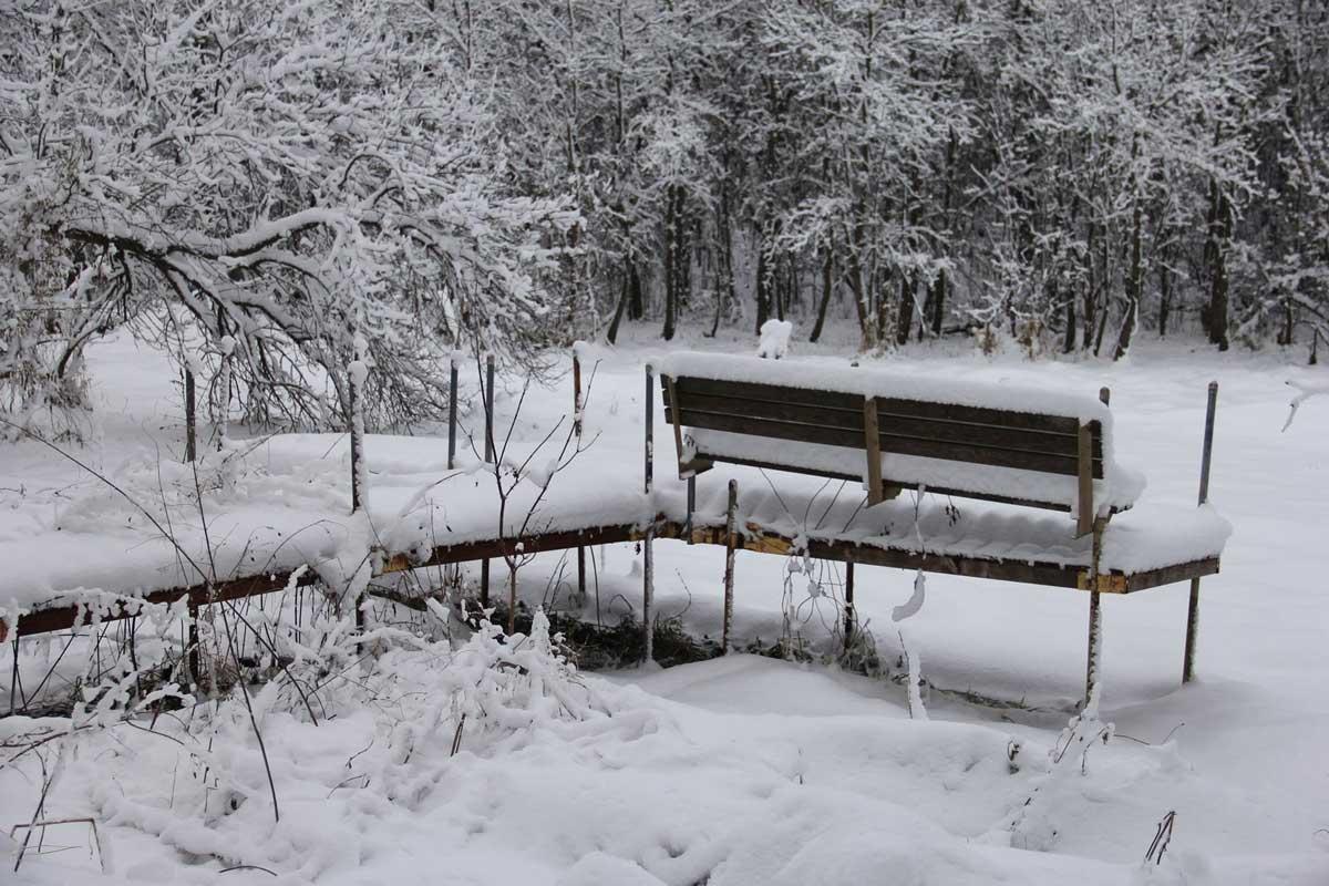 Can You Leave a Dock in the Water Over Winter?