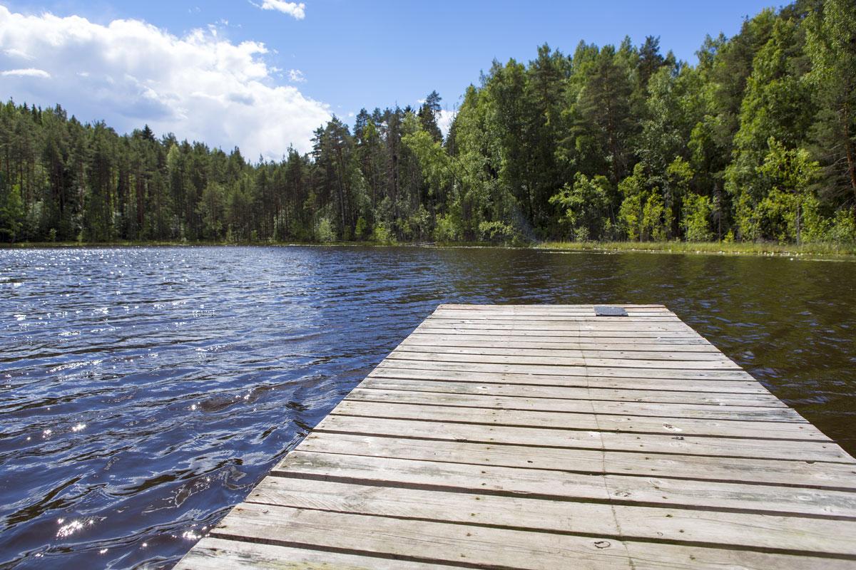 Best Practices for Keeping Zebra Mussels Off Your Boat Dock